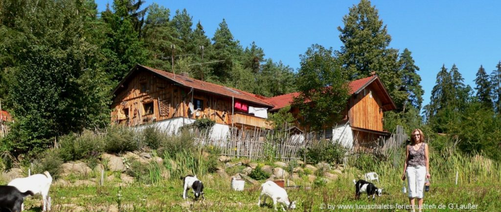 Berghütten buchen in Deutschland Ferienhütten mieten Chalets in Bayern