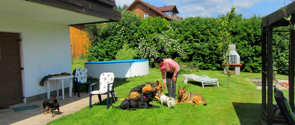 Übernachtung Bayerischer Wald Pension mit Hund in Bayern